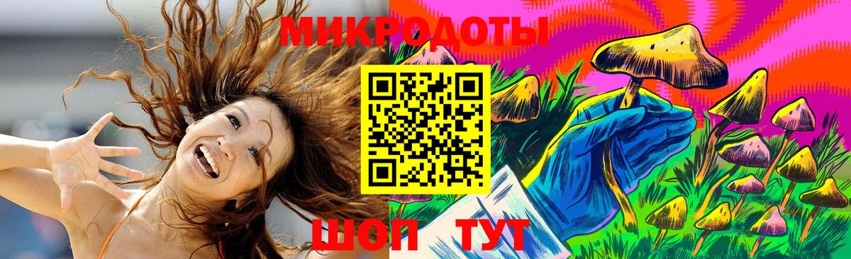 Псилоцибиновые грибы мицелий Псков