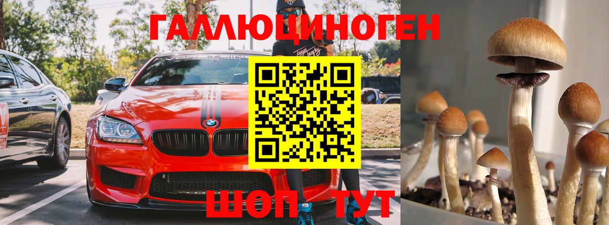 магазин продажи   Галлюциногенные грибы Psilocybine cubensis  Вход с VPN  Псков 